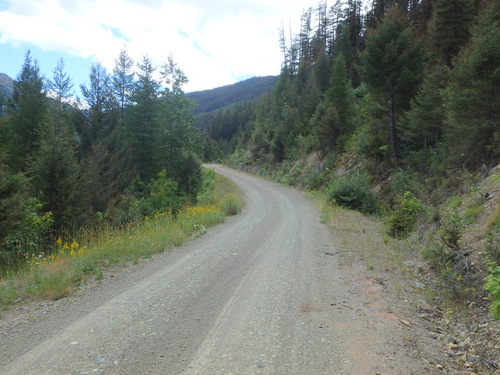 GDMBR: Climbing NF-4353 towards Richmond Peak, MT.